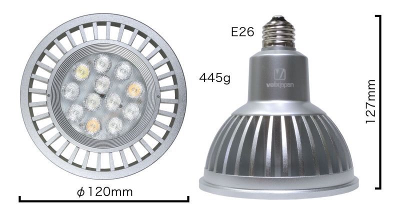 GrassyLeDio RX122 Reef - ボルクスジャパン ダイレクト