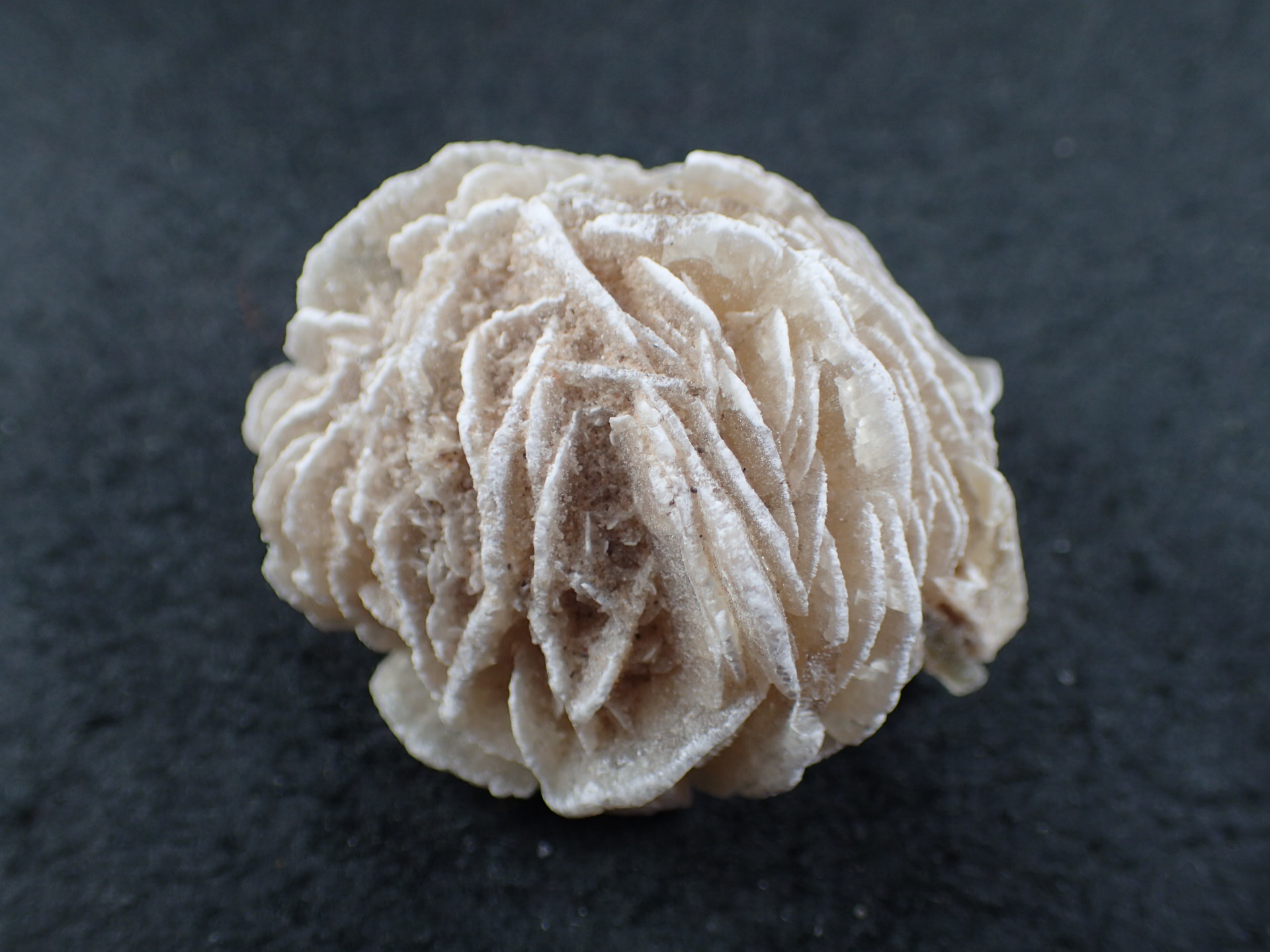 サンドローズ(デザートローズ) 砂漠の薔薇 Desert Rose Sand Rose