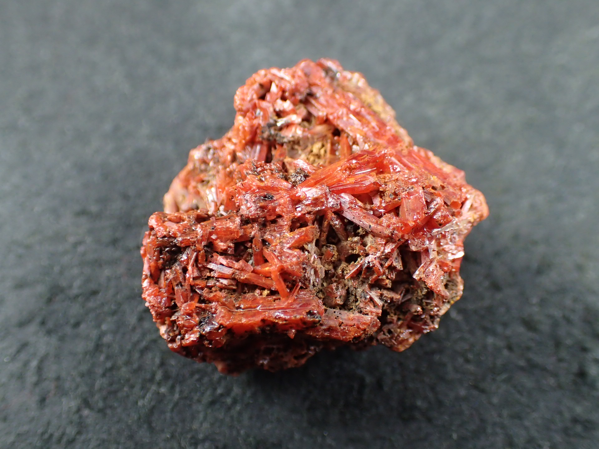 最高品質紅鉛鉱（(Crocoite)クロコアイト、PbCrO₄)) Adelaide Mine
