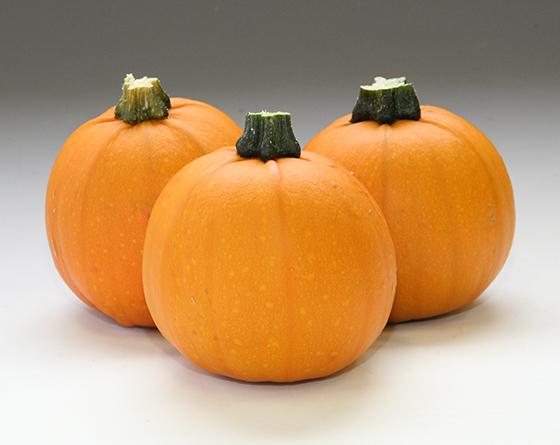 トリック | Vilmorin Mikado Japan