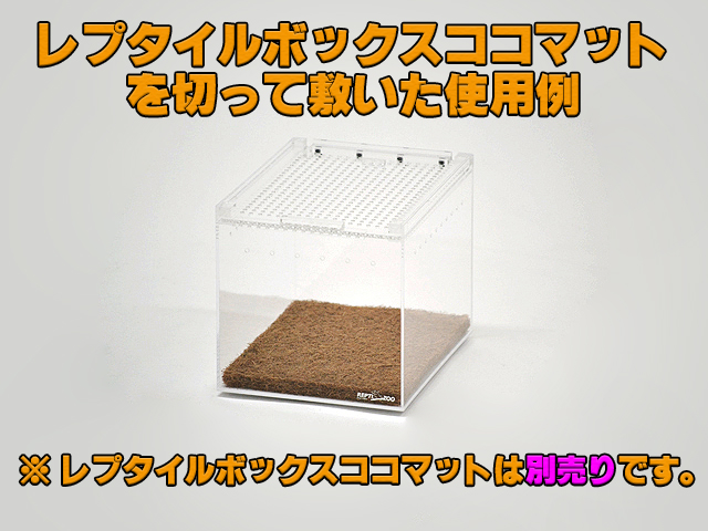 RepBox 木製ケージ 900×450×450 小動物、爬虫類用 ウォルナット