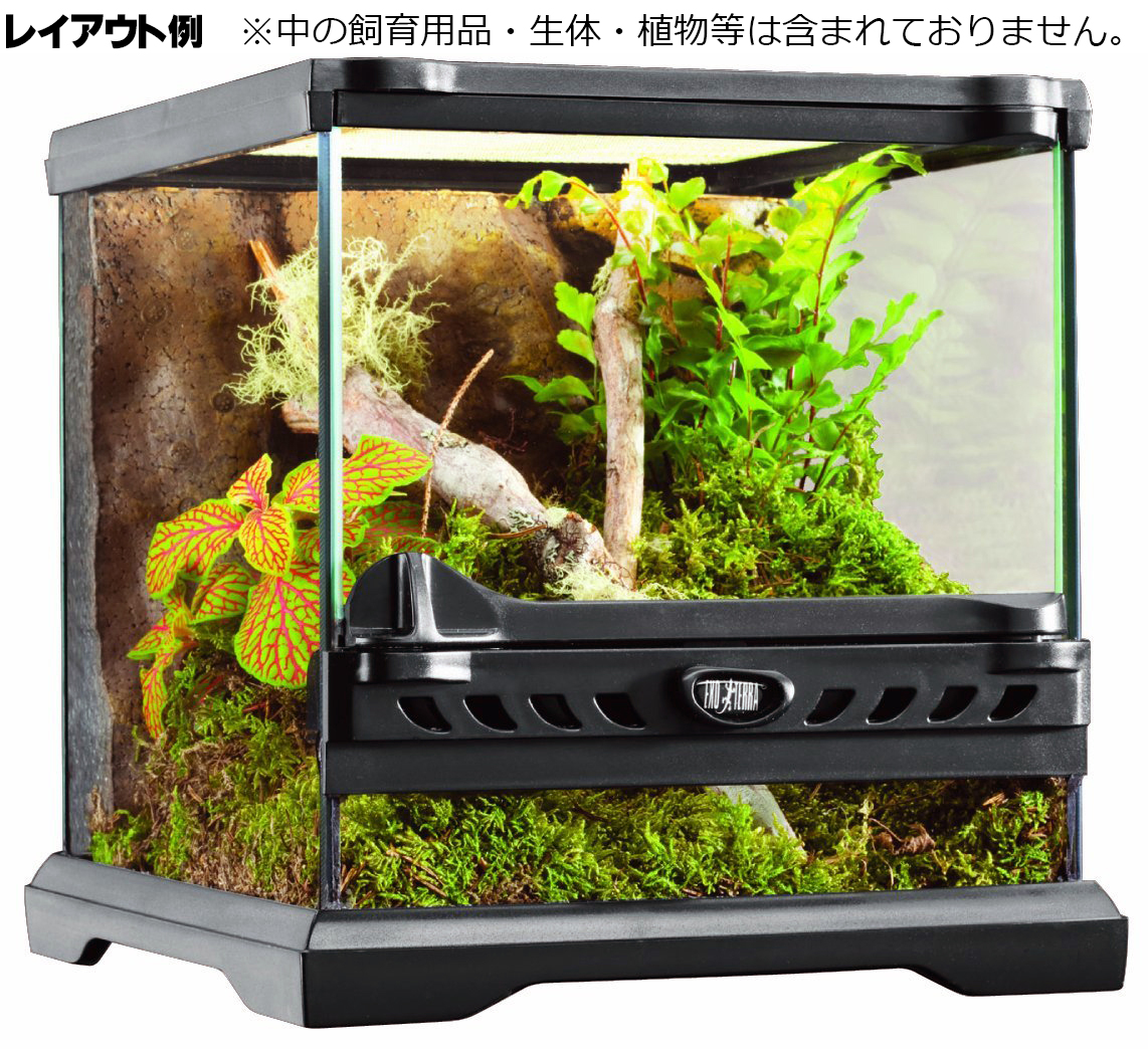 隠れ家付き！自然の中の飼育箱苔テラリウム - COKEMOMO-SAR'S