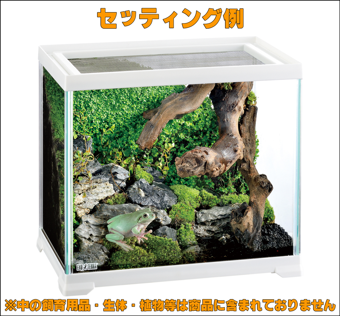 レプテリアホワイト300High エキゾテラ GEX テラリウム水槽 販売 通販