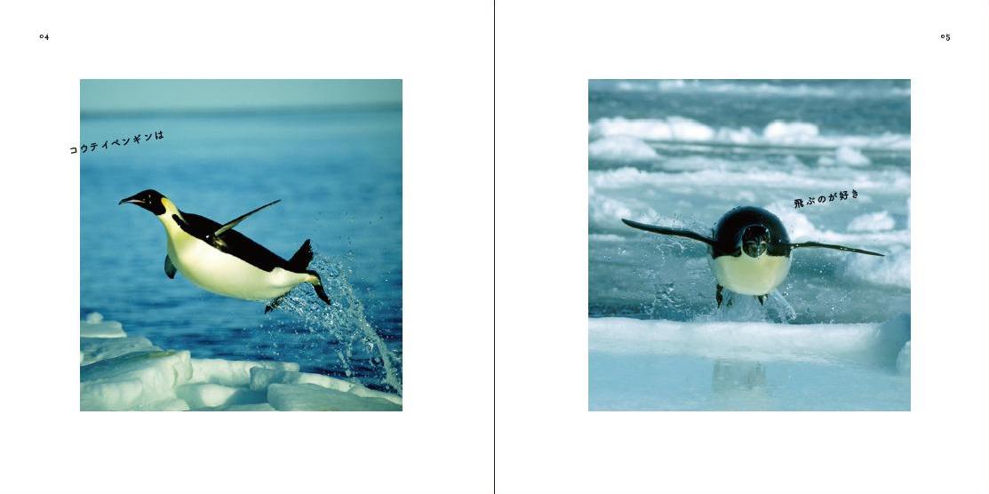 飛べないペンギン10本 飛べないペンギン10本 Amazon.co.jp: ペンギンの