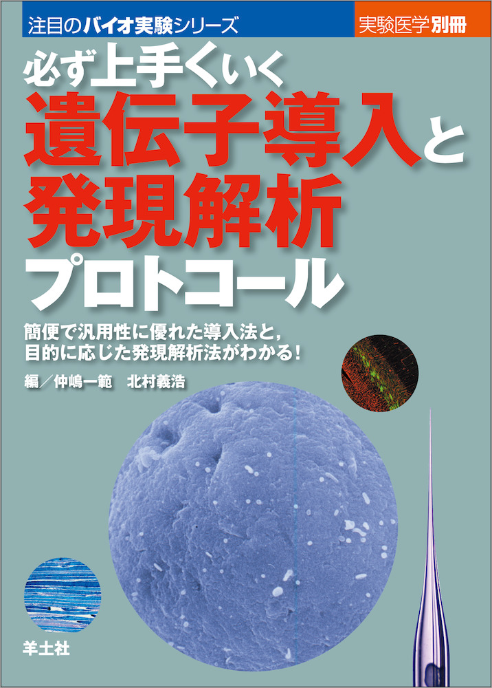 実験医学別冊 注目のバイオ実験シリーズ：必ず上手くいく 遺伝子導入と