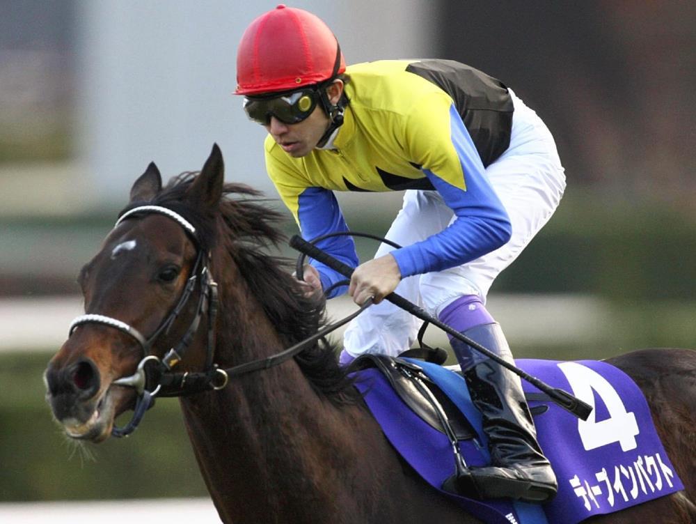 期限切れ単勝馬券】 新馬競走 ディープインパクト 2004/12/19 期限切れ