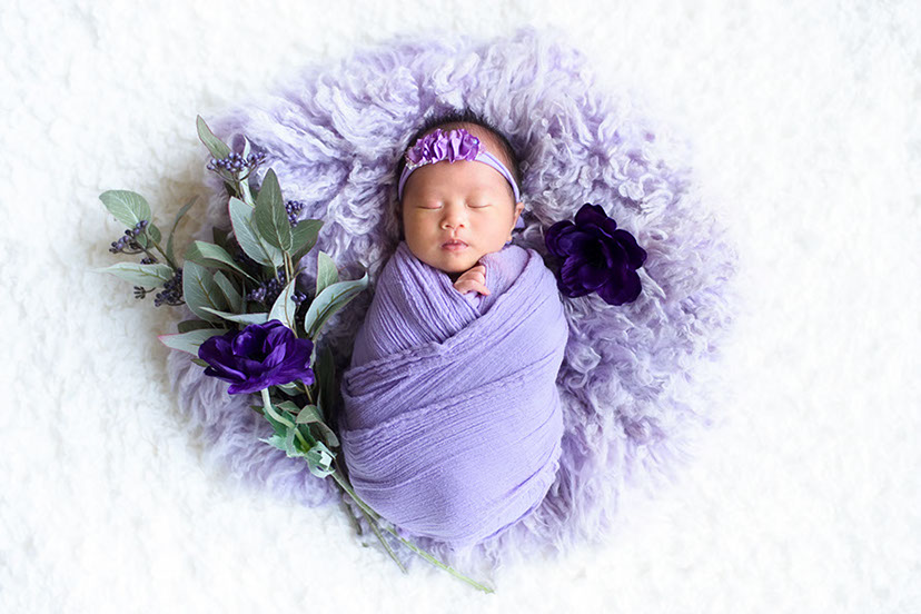 背景布【紫陽花A】サンプルニューボーンフォトなどに♪