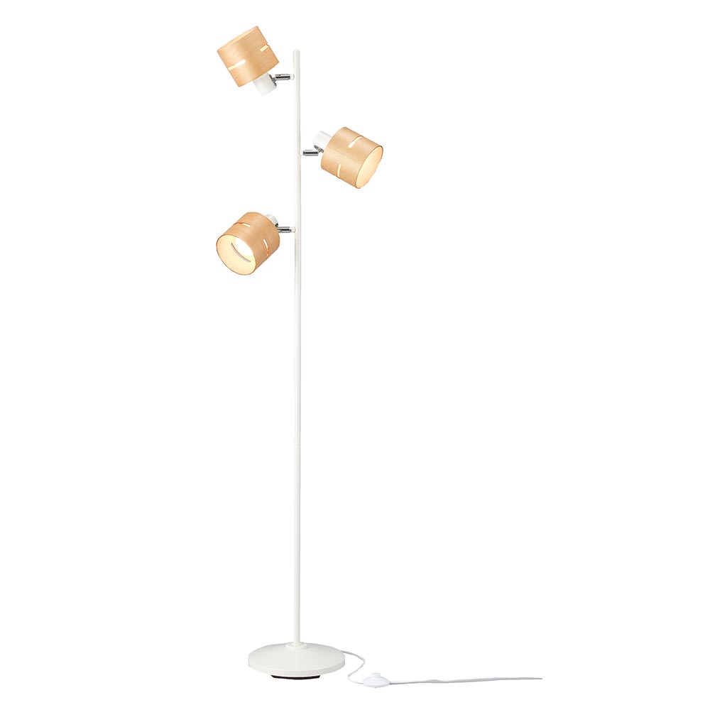 ブルテリア ノベルティフロアライト from Vancouver♪ ブルテリア