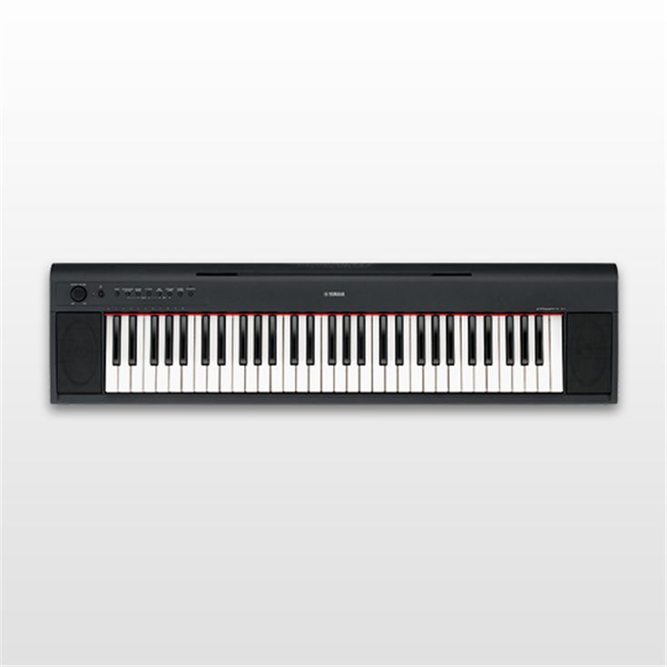 NP-11 - Features - Piaggero - Keyboard Instruments - Musical