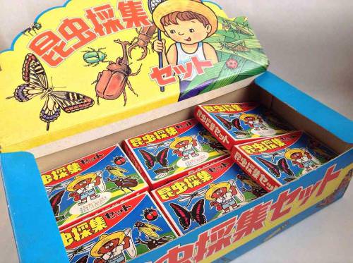 標本セット】昆虫採集セット / 会津 山内屋商店