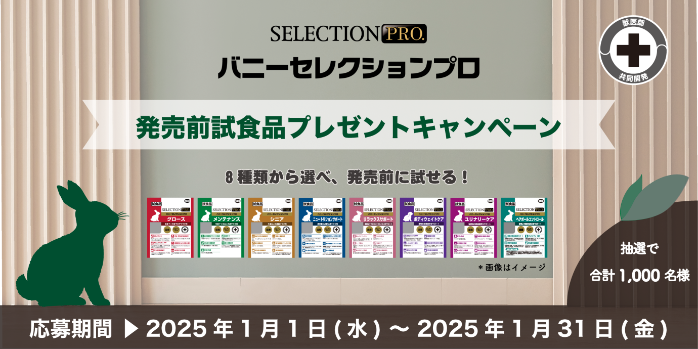 ⭐️数量限定❗️SALE❗️⭐️バニセレプロヘアボールコントロール＋試