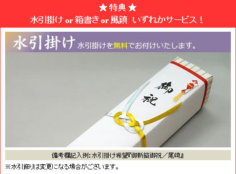 開運の掛け軸 金武春陽作 吉祥羽衣図