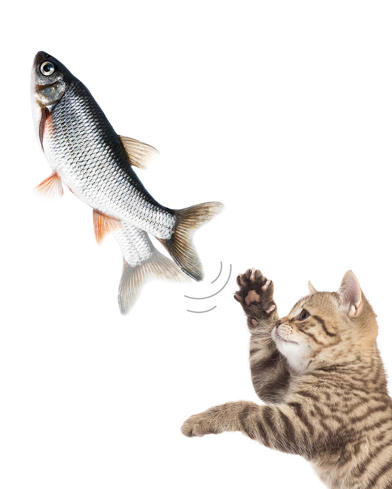 ダンシングミニフィッシュ 3個セット レトロおもちゃ 未使用