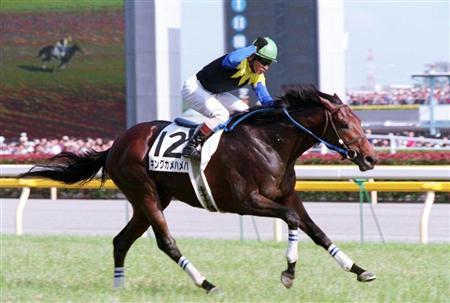 馬じぃの継続は非力なり】キングカメハメハが唯一喫した「不思議の負け