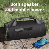 Buy Zealot S79 Bluetooth Speaker Outdoor Subwoofer 100W Online