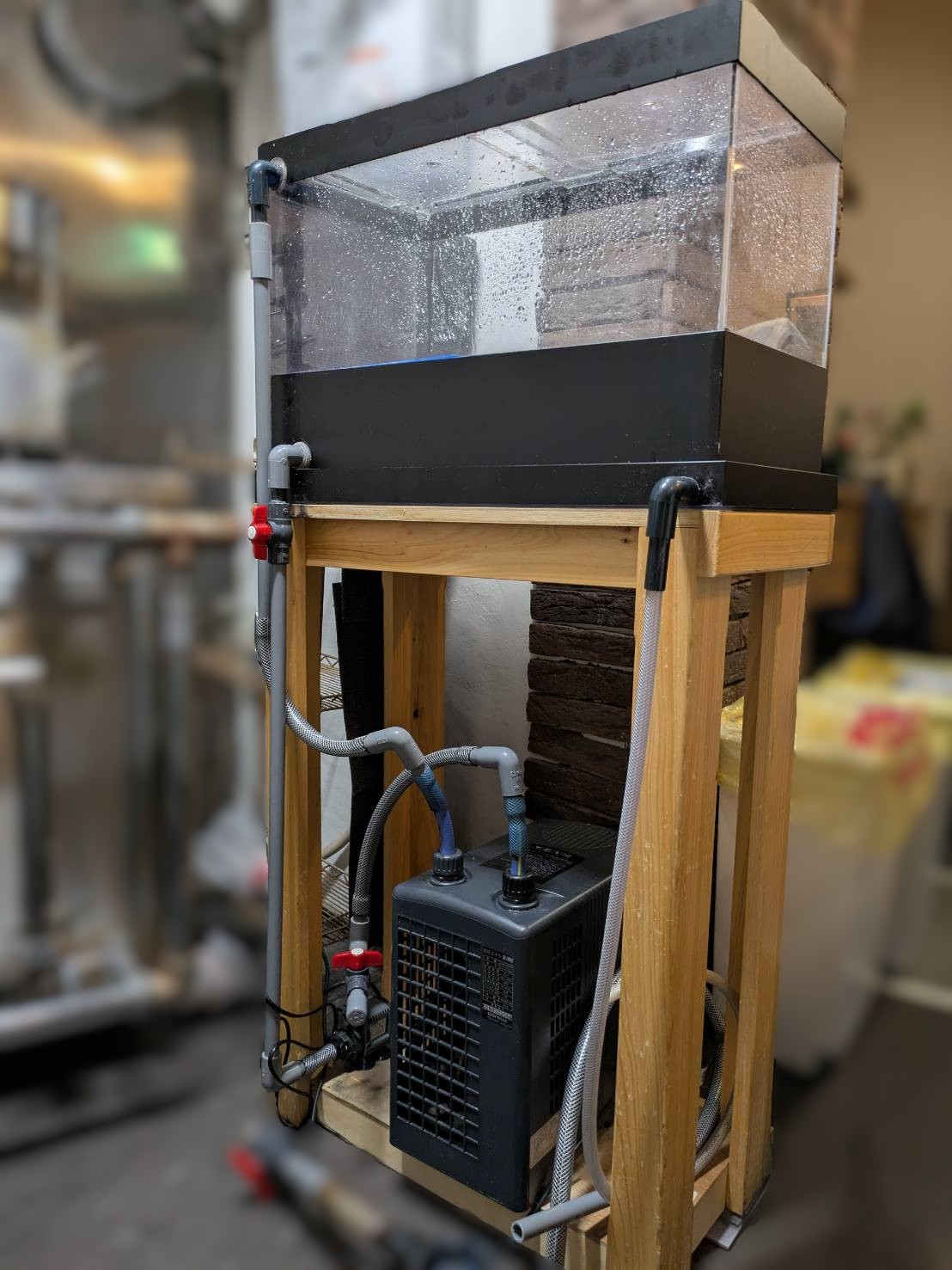 活魚水槽｜ゼンスイ株式会社