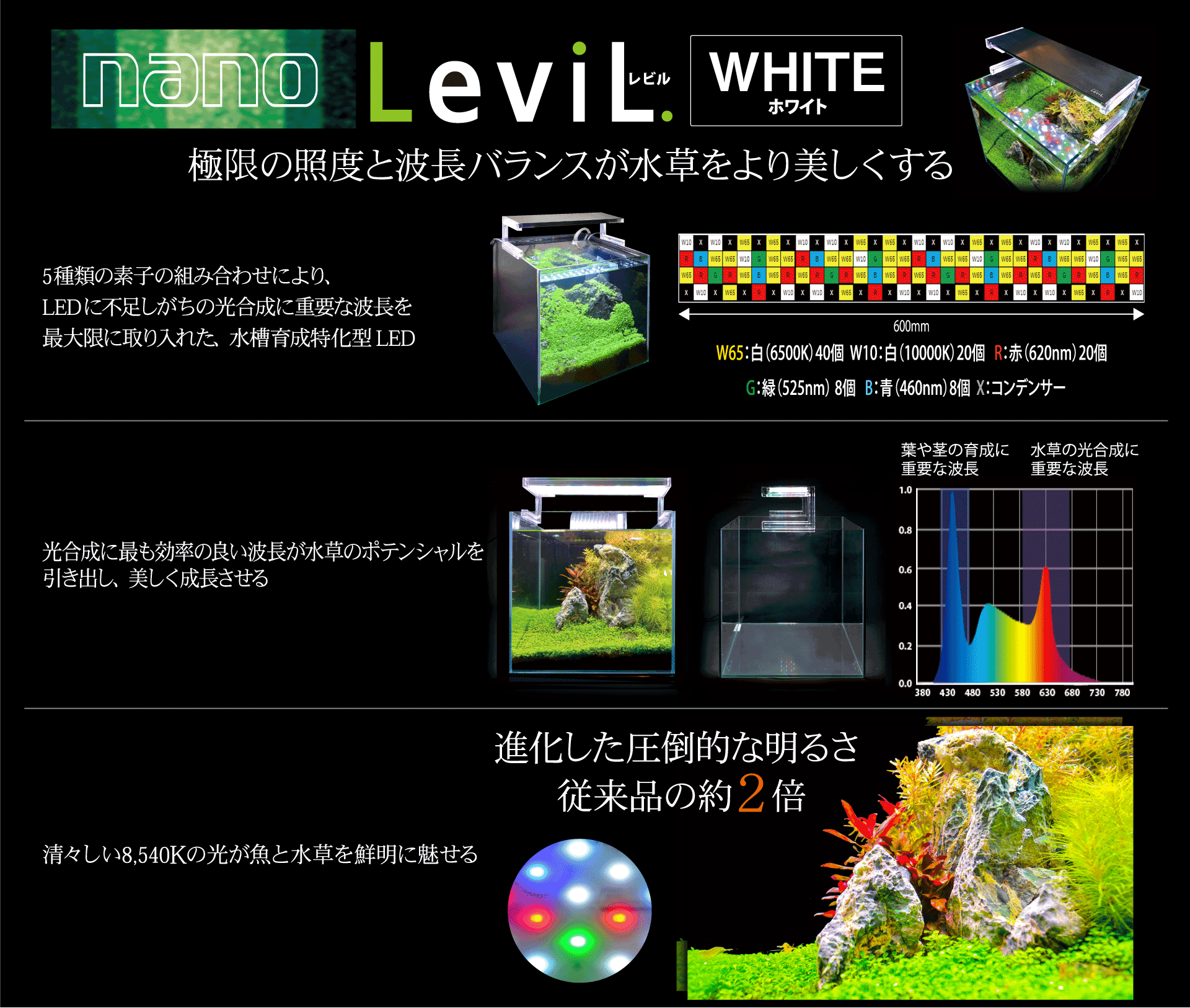 ナノレビル｜ゼンスイ株式会社