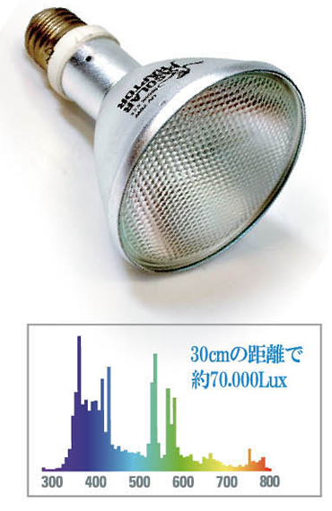 美品】ゼンスイ SOLAR RAPTOR ランプ セット 35W 楽天市場】SOLAR