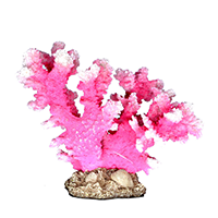 レプリカサンゴ｜ゼンスイ株式会社