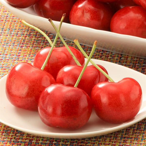 値下げ】 乾山写 花形 果物皿 5客