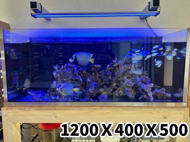 山梨県W・Hさま オーバーフロー水槽セット（1200×600×600）(1200×400