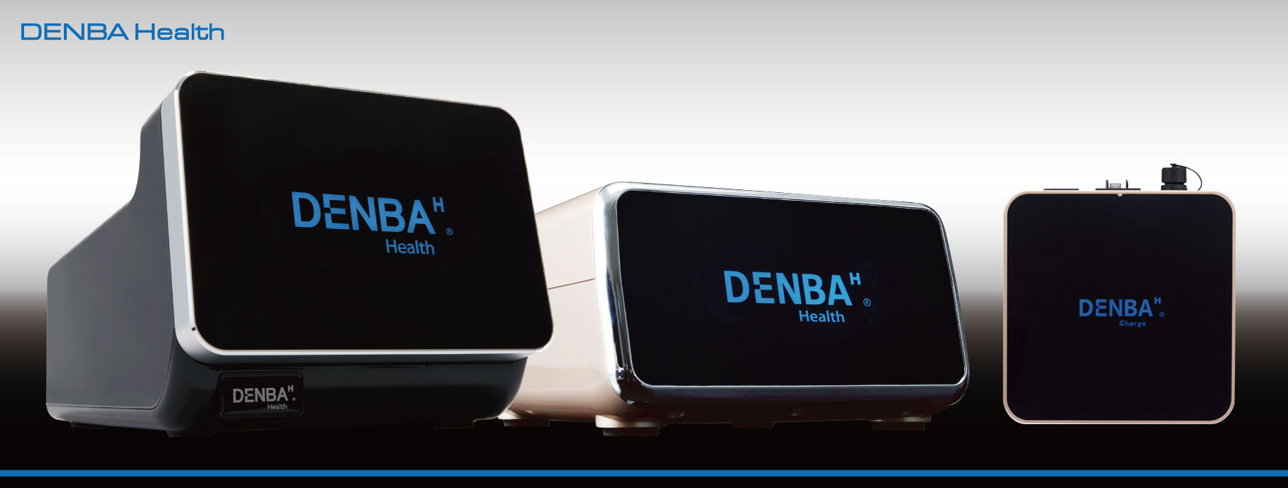 DENBAH Charge 健康管理用充電器 DENBAH Charge 健康管理用充電器