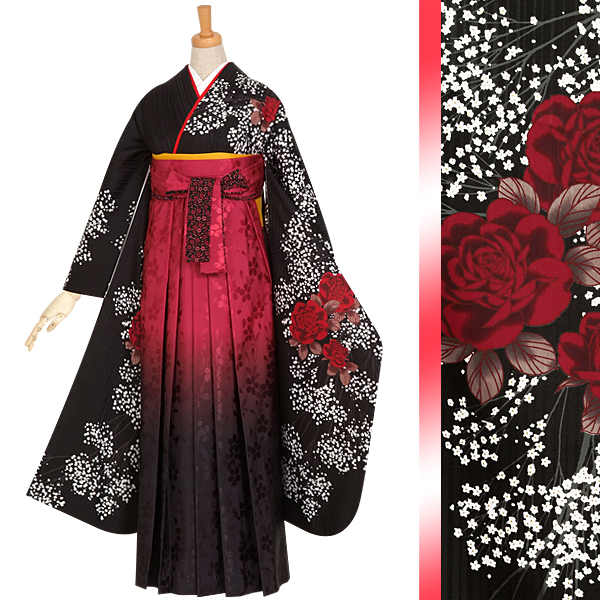 振袖袴： R957 【訳あり】黒 深紅の薔薇とかすみ草(R183)☆袴(宅)│ 袴
