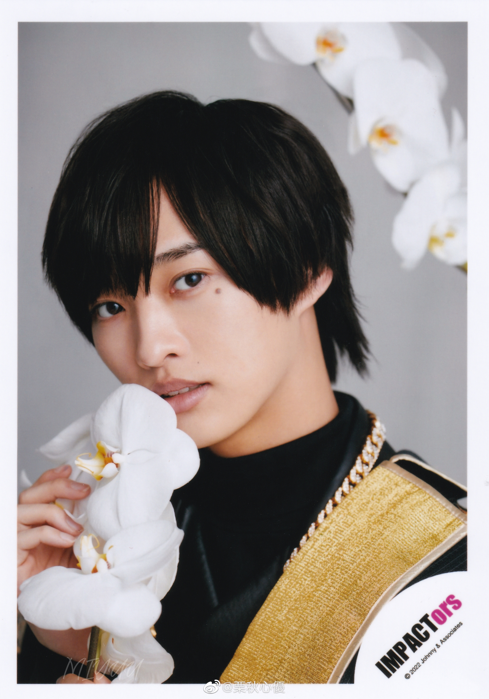 IMPACTors 佐藤新 公式写真 セット 佐藤新 公式写真 101枚セット IMP