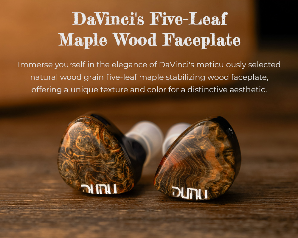 DUNU x Gizaudio DaVinci 2DD+4BA Hybrid In-Ear Earphones