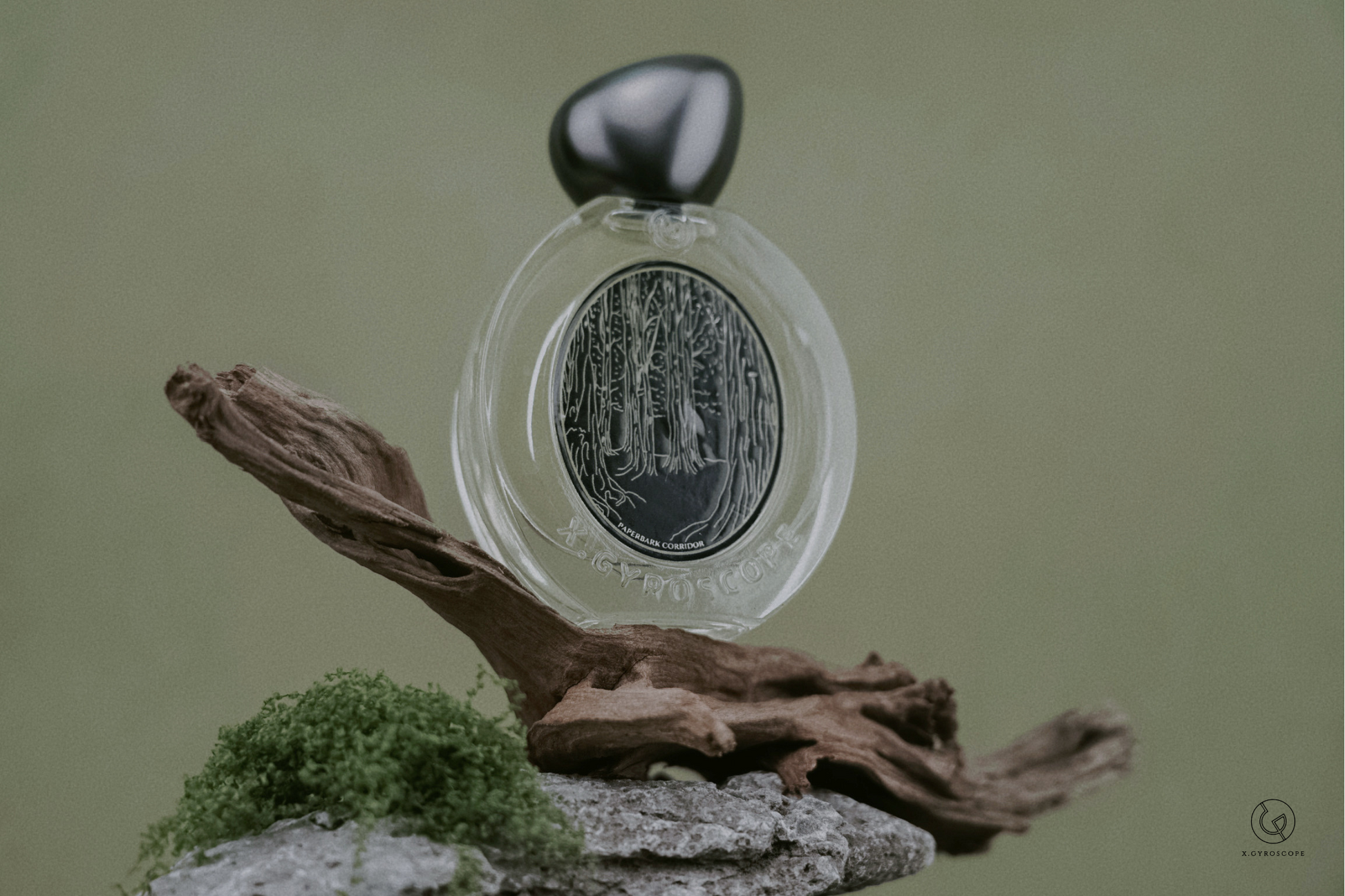 Paperbark Corridor 白千香水| 綠意樺木| 香港Hong Kong Grand Tour