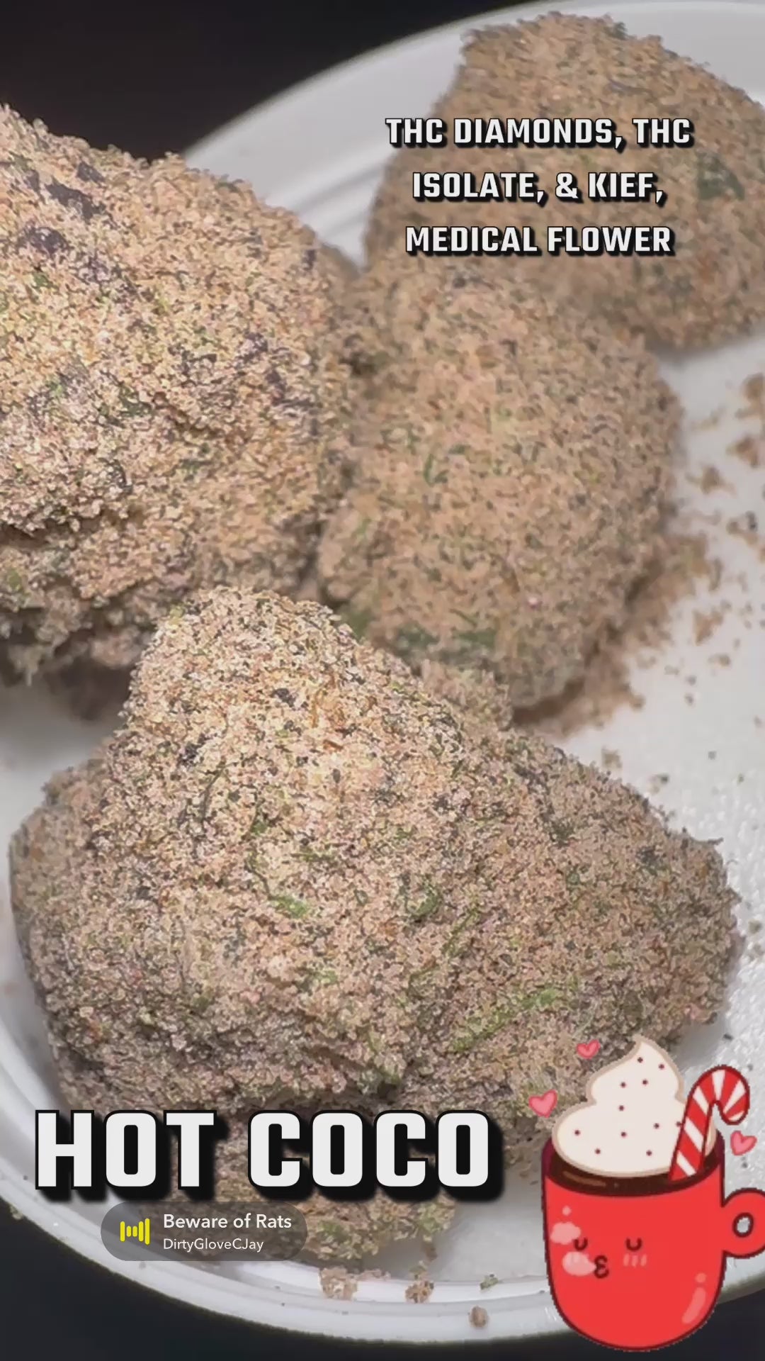 Hot Coco – XoXo Exotics TX