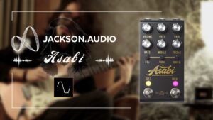 Mateusu Asatoシグネイチャー】Jackson Audio Asabi ソウルフルな