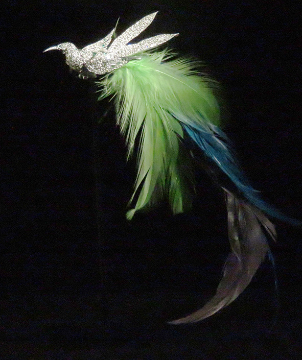 東京駅前で開催中の特別展示『極楽鳥』 | 山階鳥類研究所広報ブログ