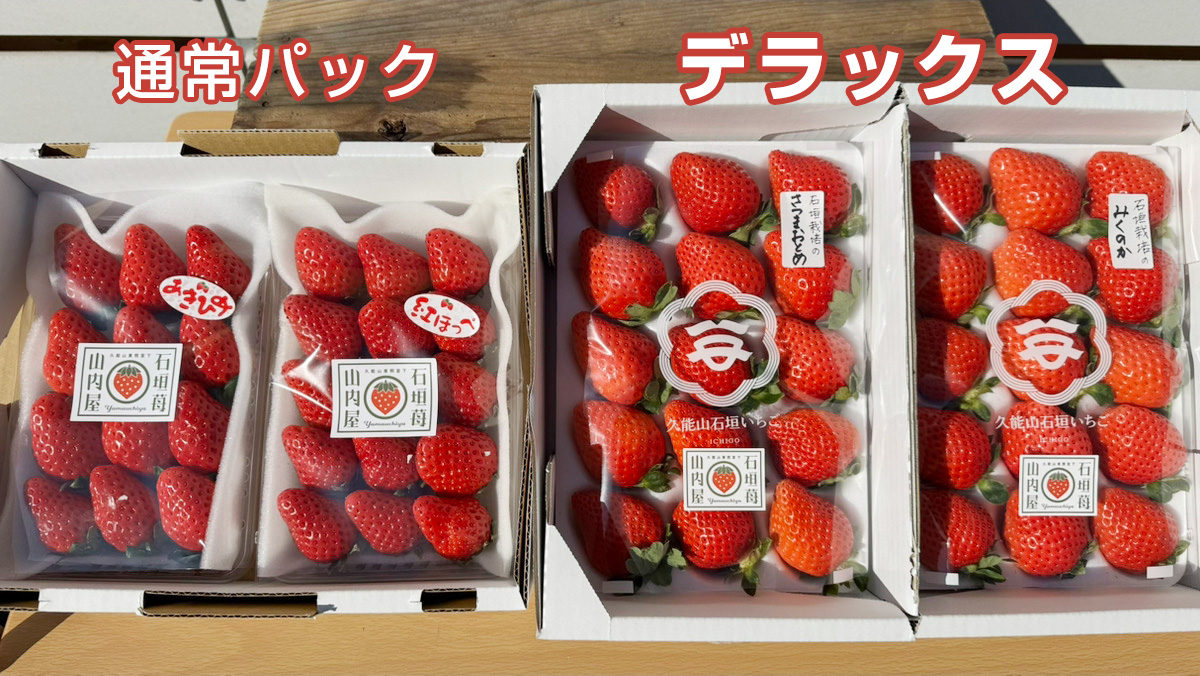 いちごページ おといちご様⭐︎ いちごや様 いちご様 いちごページ 椿