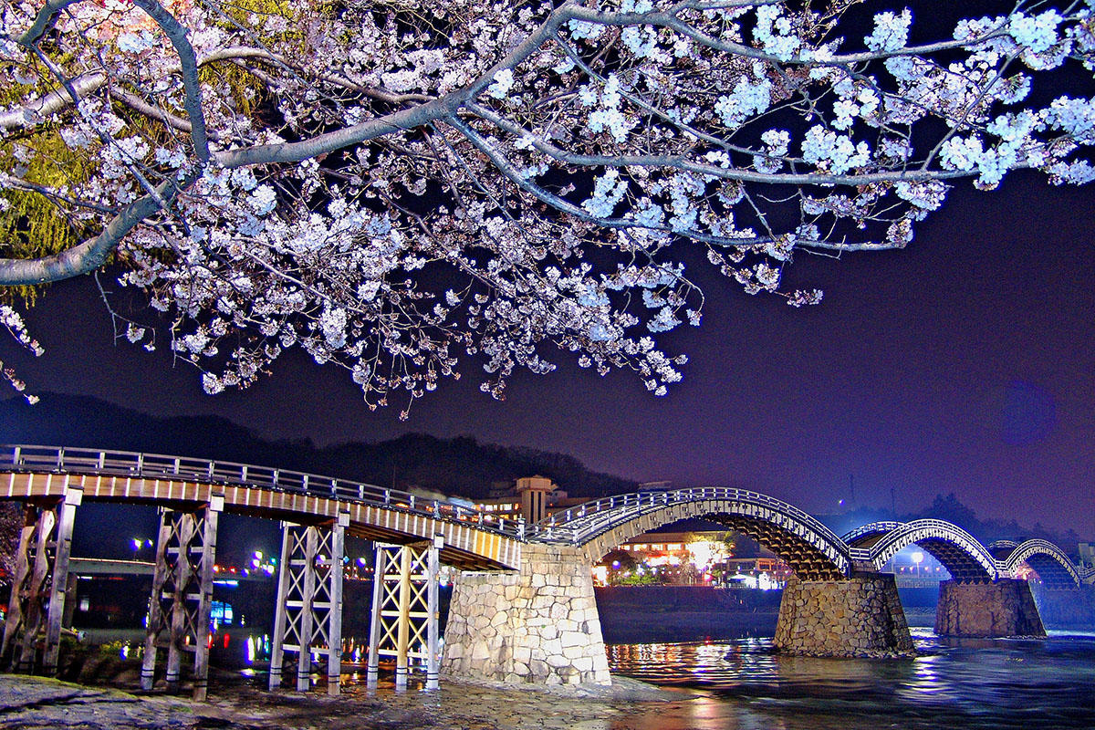 桜（夜桜・桜のライトアップ）記事の一覧 | 夜景FANマガジン