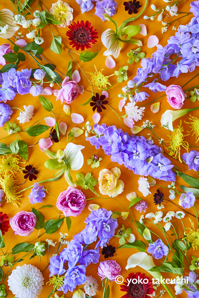 芸術写真 FLOWERS and TREES 芸術写真 FLOWERS and TREES a-view-of-a