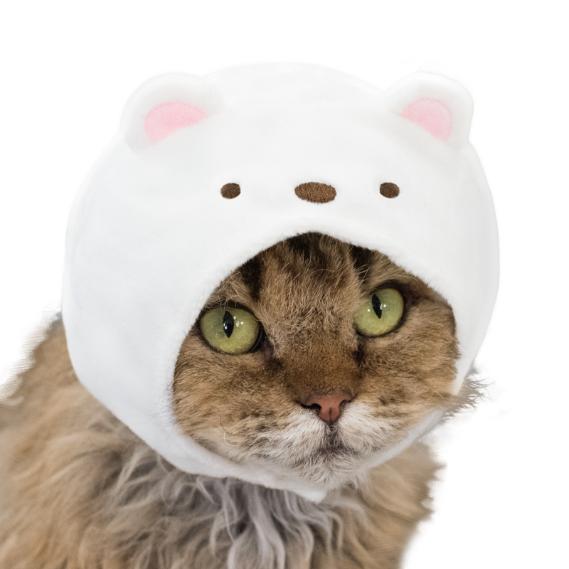 猫」といえば隅、隅といえば「すみっコぐらし」 人気キャラたちが猫