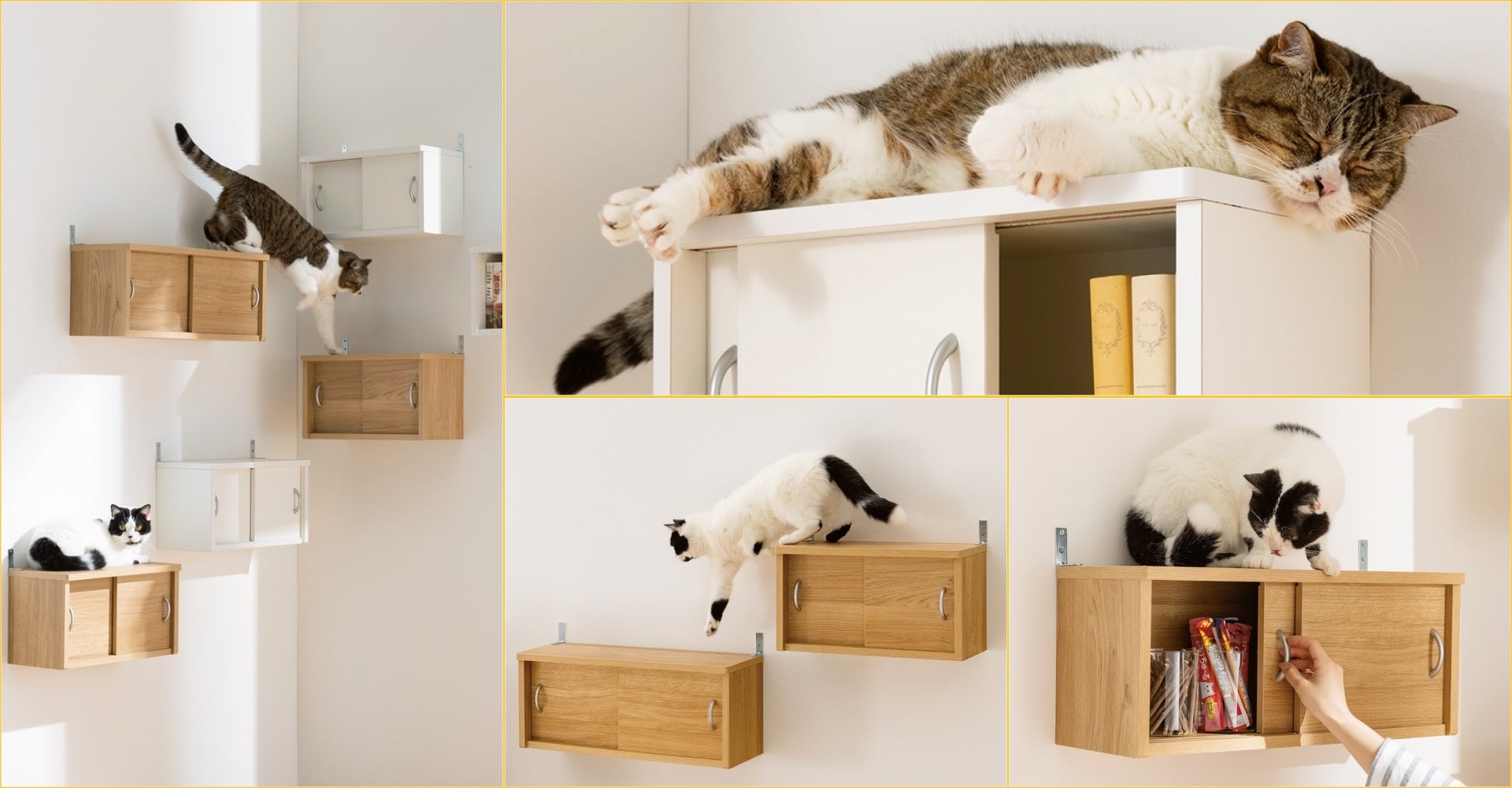 ディノス「収納棚としても使えるキャットステップ」で猫も飼い主さんも