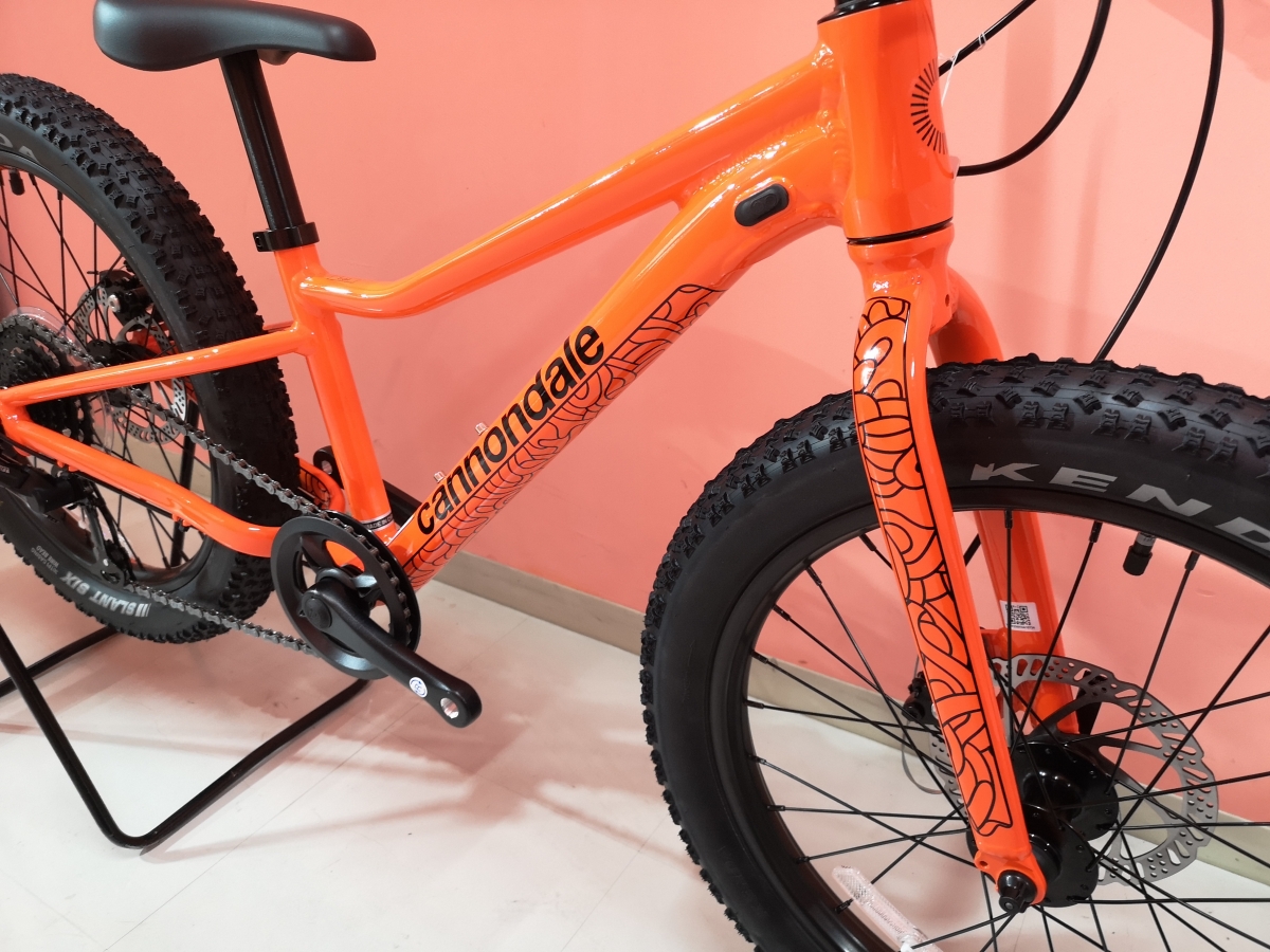 手渡し限定』 CANNONDALE キッズ Trail 20