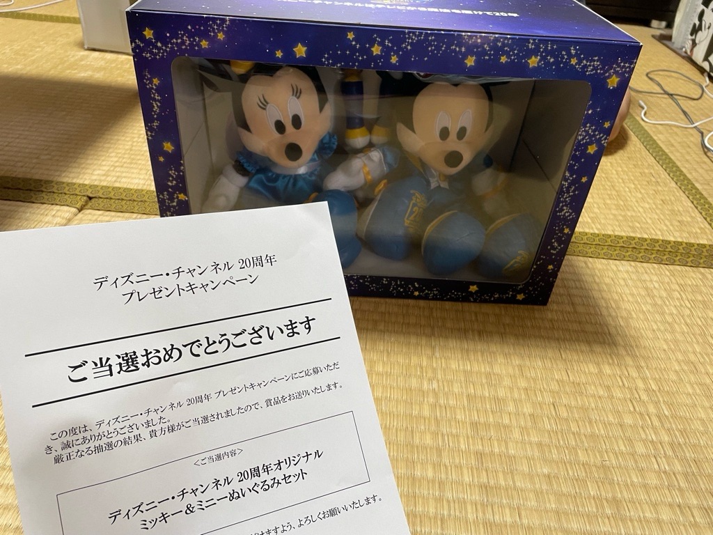 ディズニーチャンネル20周年オリジナルミッキー&ミニーぬいぐるみセット