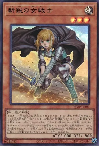 異次元の女戦士 プリズマティックシークレットレア 遊戯王 異次元の女