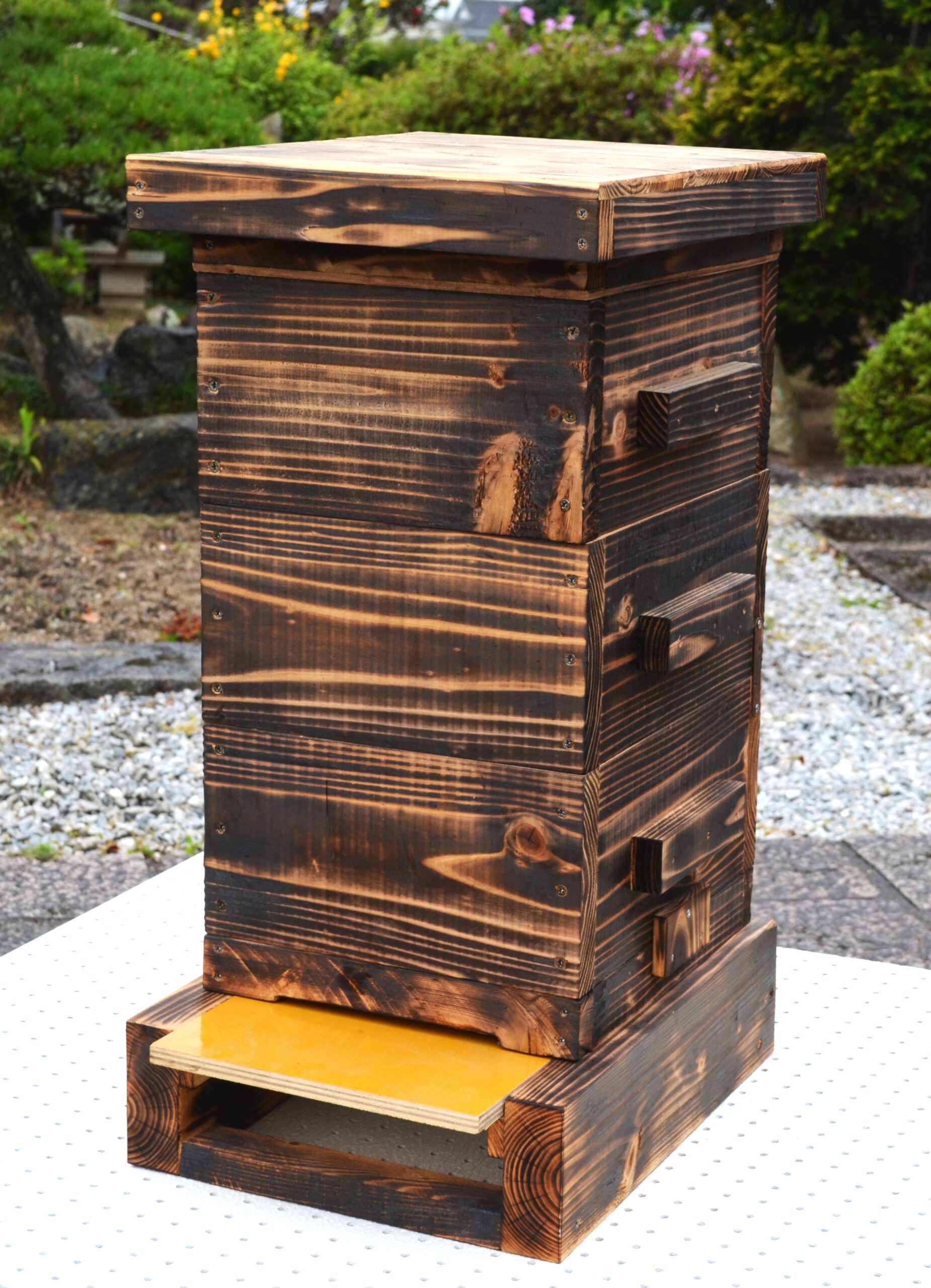 日本蜜蜂 分蜂群① 巣箱2段込み 先着順