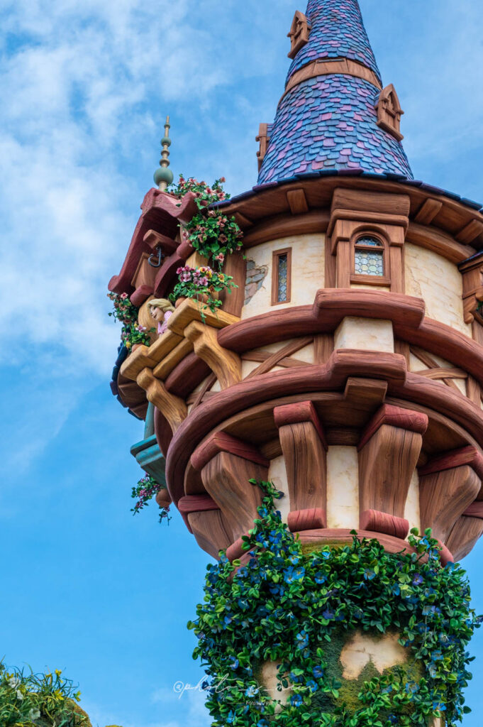 ファンタジースプリングスの撮り歩きが楽しかったので写真まとめてみる