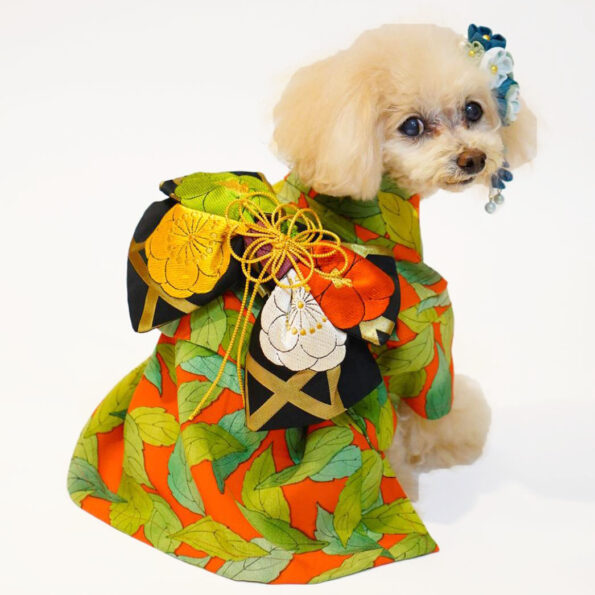 ハンドメイドオーダー小型犬犬服