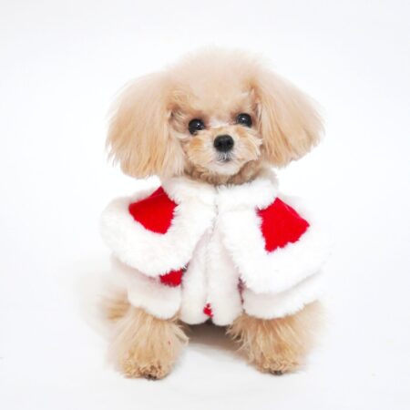 ペット用洋服 | 犬服・猫ペット服・婦人服オーダーメイド 友里亜