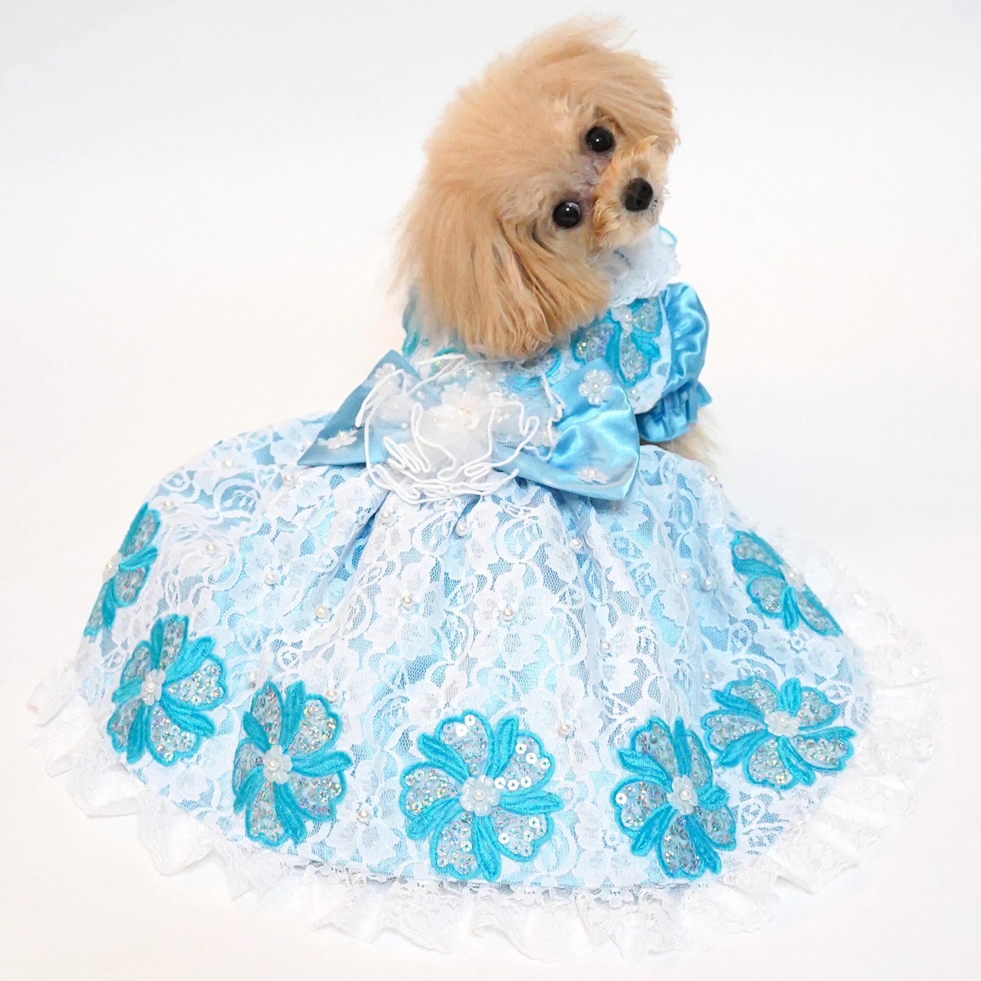 犬猫服1点限り 水色レースドレス Sサイズ dr-11 | 犬服・猫ペット服