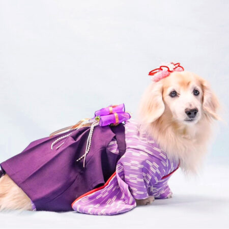 着物 | 犬服・猫ペット服・婦人服オーダーメイド 友里亜