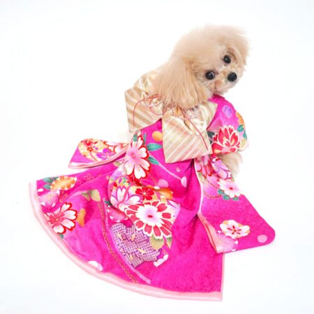 大振袖 | 犬服・猫ペット服・婦人服オーダーメイド 友里亜