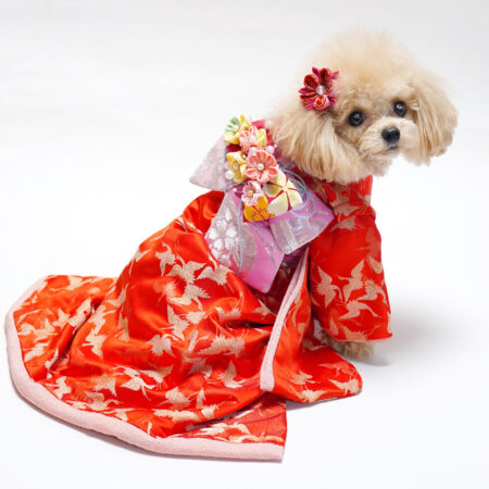 夢はあきらめないオーダー犬服 3点 夢はあきらめない様専用オーダー犬