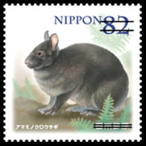 国連切手 良い環境のために 自然 生物 美しい田型切手3種未使用 国連